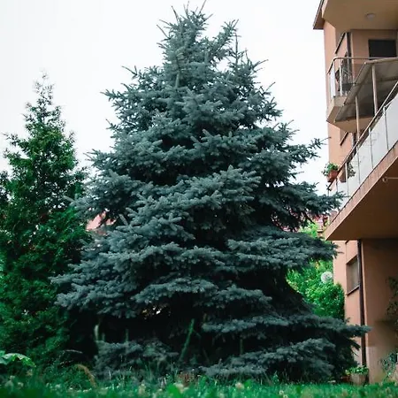 7 Apartmán